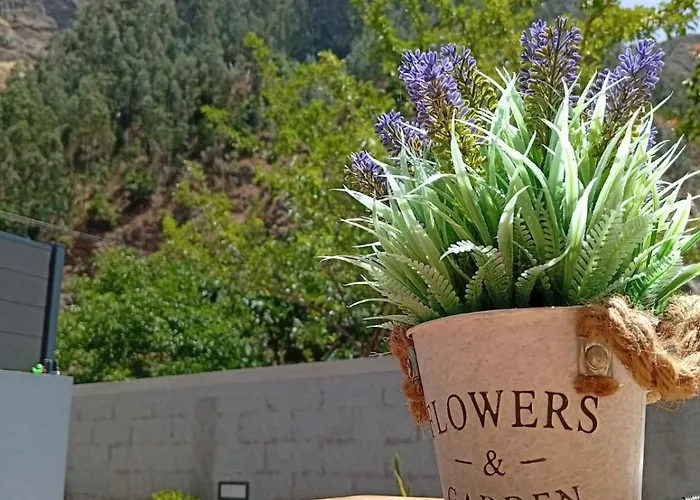 Danny's Rural T1 公寓 库拉尔-达斯弗雷拉斯